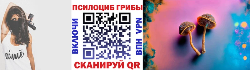 Галлюциногенные грибы Cubensis мега ONION Пугачёв