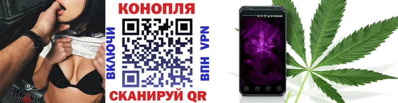 дарнет шоп  Пугачёв  Шишки марихуана ГИДРОПОН 